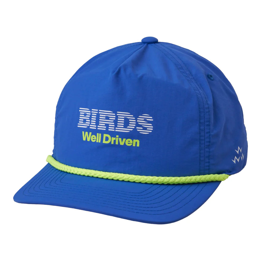 WELL DRIVEN SNAPBACK