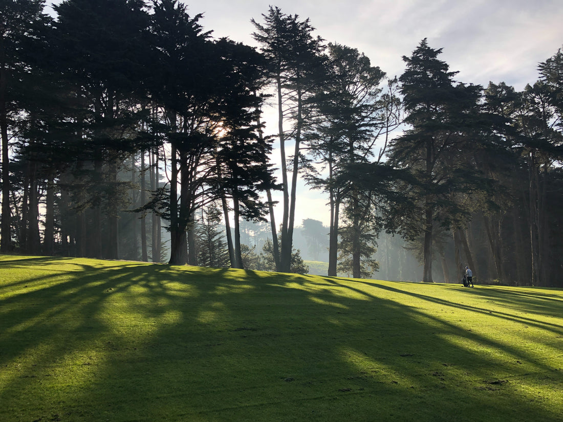 Scenisk vy av en golfbana med frodig grön fairway och träd bakgrundsbelyst av tidigt morgonsol, med skuggor som sträcker sig över gräset.