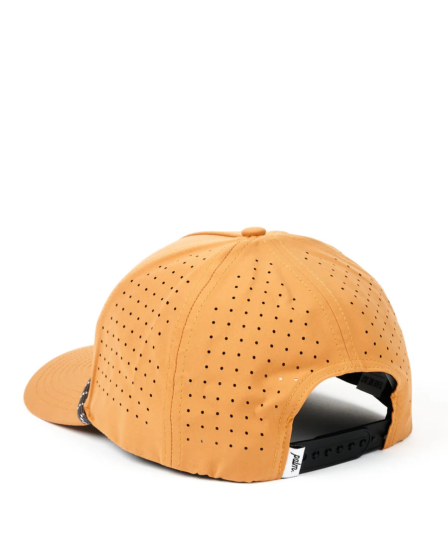 COAST TO COAST SNAPBACK CLAY